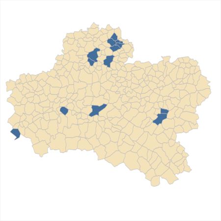 Répartition de Thalictrum minus L. dans le Loiret
