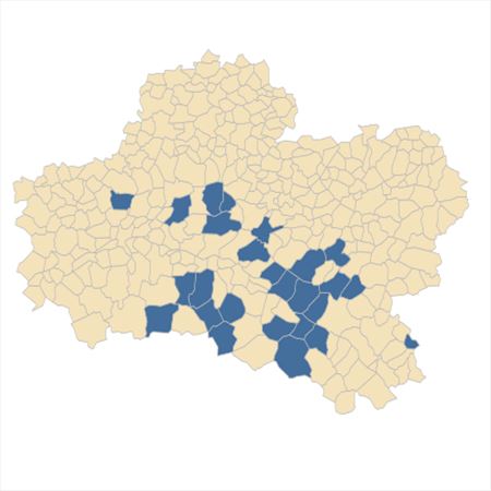 Répartition de Trocdaris verticillatum (L.) Raf. dans le Loiret