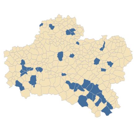 Répartition de Verbascum densiflorum Bertol. dans le Loiret