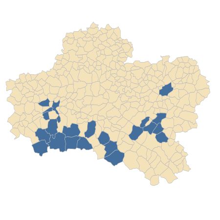 Répartition de Verbascum virgatum Stokes dans le Loiret