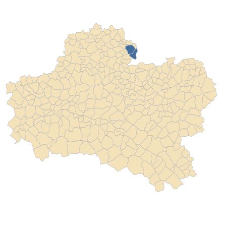 Répartition de Tanacetum corymbosum (L.) Sch.Bip. dans le Loiret