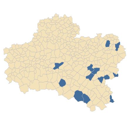 Répartition de Pilosella piloselloides subsp. bauhinii (Schult.) S.Bräut. & Greuter dans le Loiret