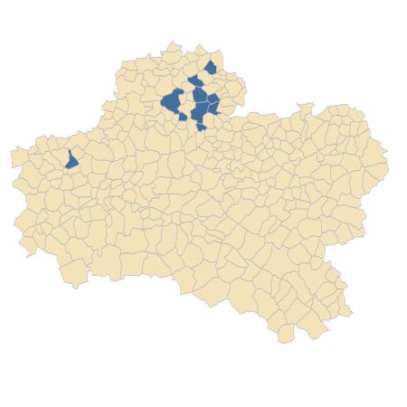 Répartition de Bunias orientalis L. dans le Loiret