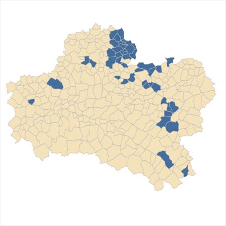 Répartition de Bupleurum falcatum L. dans le Loiret