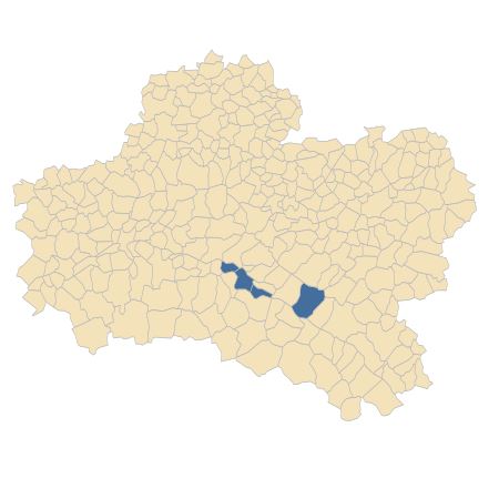 Répartition de Cytisus oromediterraneus Rivas Mart., T.E.Díaz, Fern.Prieto, Loidi & Penas dans le Loiret