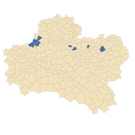 Répartition de Ammi majus L. dans le Loiret