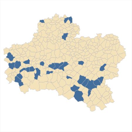 Répartition de Legousia speculum-veneris (L.) Chaix dans le Loiret