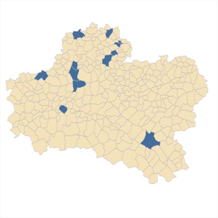 Répartition de Centaurea decipiens subsp. debeauxii (Godr. & Gren.) B.Bock dans le Loiret