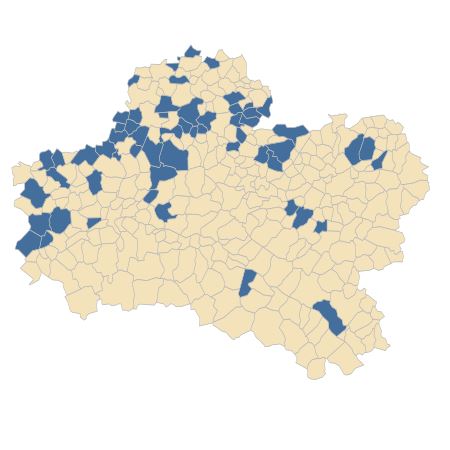 Répartition de Lepidium squamatum Forssk. dans le Loiret