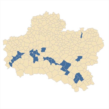 Répartition de Scrophularia canina L. subsp. canina dans le Loiret