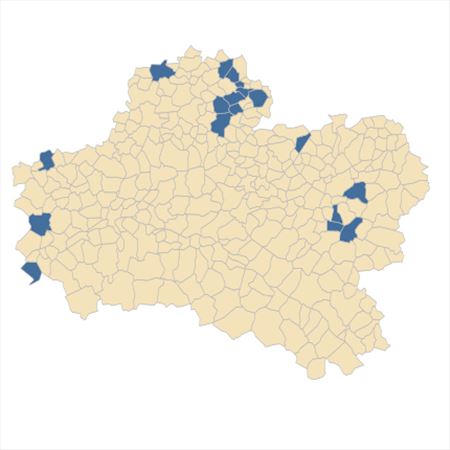 Répartition de Linum tenuifolium L. dans le Loiret