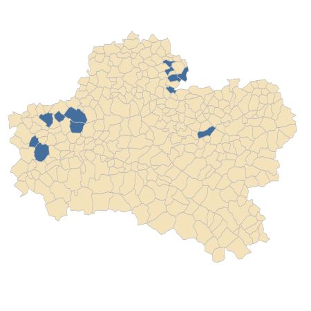 Répartition de Melampyrum cristatum L. dans le Loiret