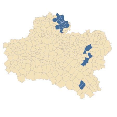 Répartition de Orchis anthropophora (L.) All. dans le Loiret