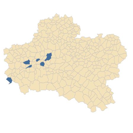 Répartition de Ornithogalum divergens Boreau dans le Loiret