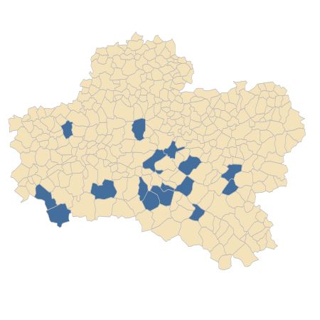 Répartition de Aphanes australis Rydb. dans le Loiret