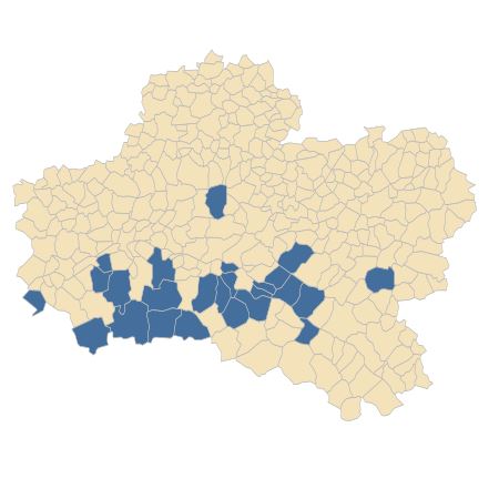 Répartition de Ranunculus paludosus Poir. dans le Loiret