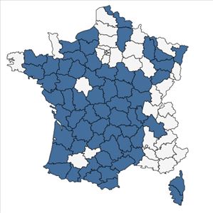 Répartition de Arnoseris minima (L.) Schweigg. & Körte en France