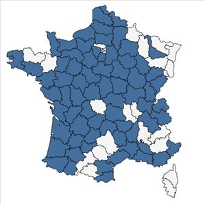 Répartition de Rosa stylosa Desv. en France