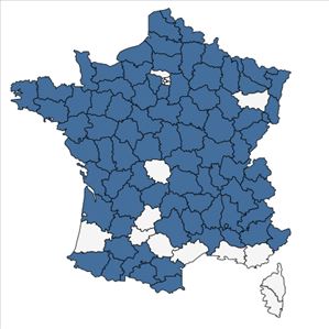 Répartition de Rosa tomentosa Sm. en France