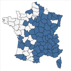 Répartition de Rubus canescens DC. en France