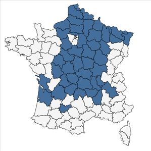 Répartition de Rubus discolor Weihe & Nees en France