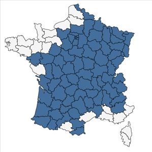 Répartition de Rubus fruticosus L. en France