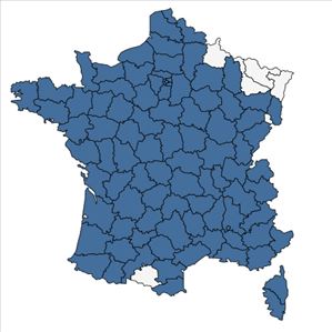 Répartition de Rubus ulmifolius Schott en France