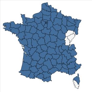 Répartition de Rumex acetosa L. en France