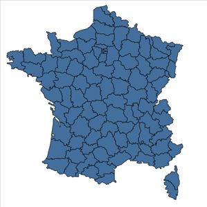 Répartition de Rumex crispus L. en France