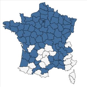 Répartition de Rumex hydrolapathum Huds. en France