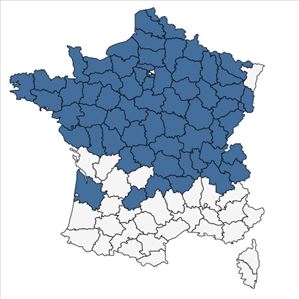 Répartition de Rumex maritimus L. en France