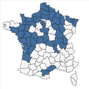 Répartition de Rumex palustris Sm. en France