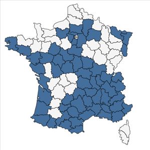 Répartition de Artemisia campestris L. en France