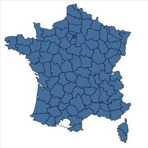 Répartition de Sagina procumbens L. en France