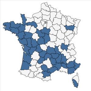 Répartition de Sagina subulata (Sw.) C.Presl en France
