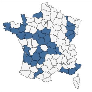 Répartition de Sagittaria latifolia Willd. en France