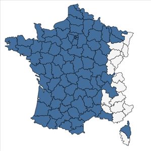 Répartition de Salix atrocinerea Brot. en France