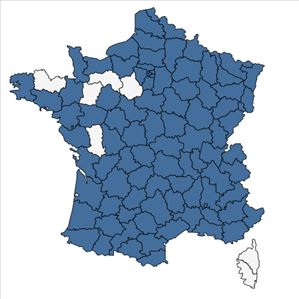 Répartition de Salix triandra L. en France