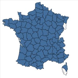 Répartition de Sambucus ebulus L. en France