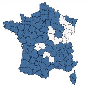 Répartition de Samolus valerandi L. en France