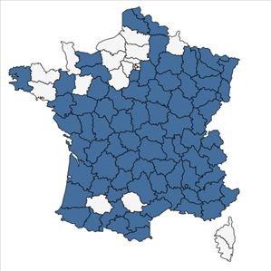 Répartition de Sanguisorba officinalis L. en France