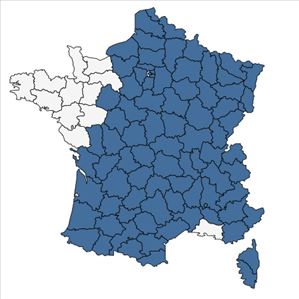 Répartition de Scabiosa columbaria L. en France