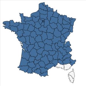 Répartition de Arum maculatum L. en France