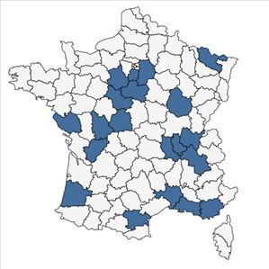 Répartition de Schoenoplectus supinus (L.) Palla en France