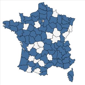 Répartition de Schoenoplectus tabernaemontani (C.C.Gmel.) Palla en France