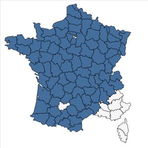 Répartition de Scorzonera humilis L. en France