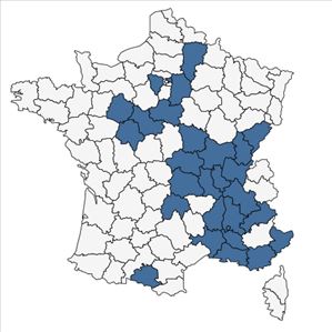 Répartition de Asclepias syriaca L. en France