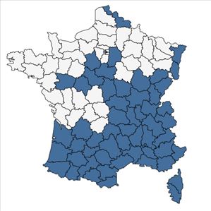 Répartition de Scrophularia canina L. en France