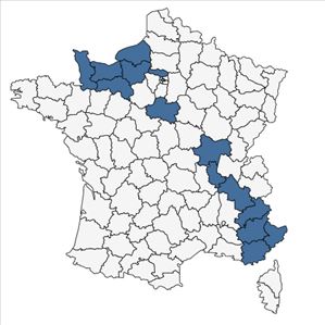 Répartition de Scrophularia vernalis L. en France