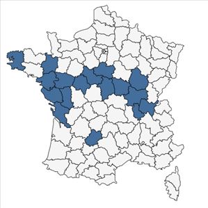 Répartition de Scutellaria hastifolia L. en France